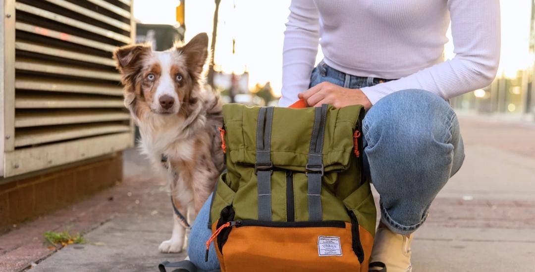 Collection-sortir-accessoires-solide-original-pour-balader-son-chien-sac-à-dos-K9-sportsack-1080x550px