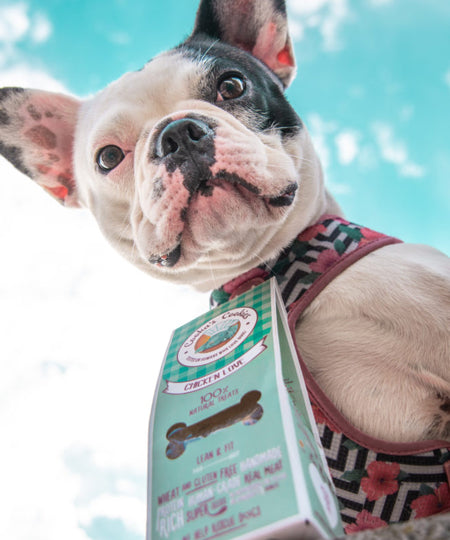 Cookas-Cookies-Friandises-naturelles-saines-chien-chiot-chicken-love-poulet