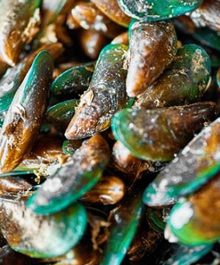 Cookas-Cookies-Friandises-naturelles-toppers-chien-chiot-Poudre-de-moule-verte