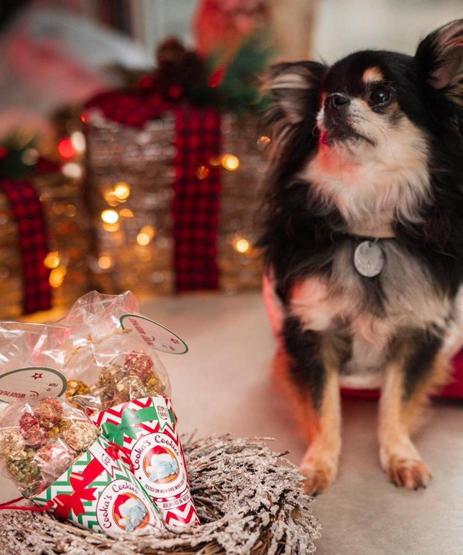 Cookas-Cookies-Friandises-nole-pour-chien-chiot-Christmas_Balls-2025