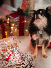 Cookas-Cookies-Friandises-nole-pour-chien-chiot-Christmas_Balls-2025