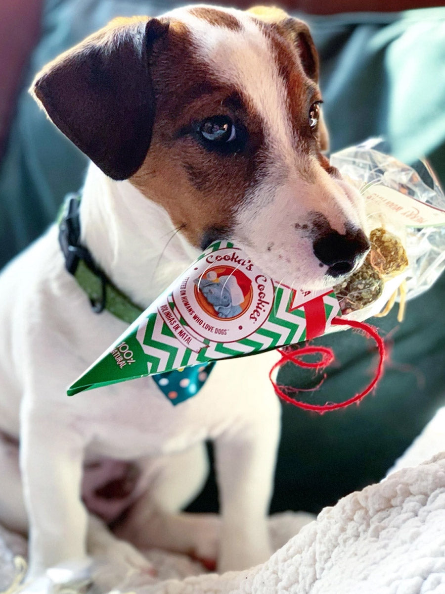 Cookas-Cookies-Friandises-nole-pour-chien-chiot-Christmas_Balls-2025