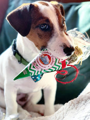 Cookas-Cookies-Friandises-nole-pour-chien-chiot-Christmas_Balls-2025