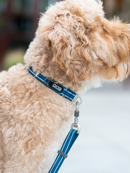 DOG-Copenhagen-collier-pour-chien-resistant-Urban-Style-Collar-bleu