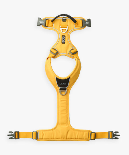 DOG-Copenhagen-harnais-pour-chien-resistant-comfort-walk-pro-3.0-lemon