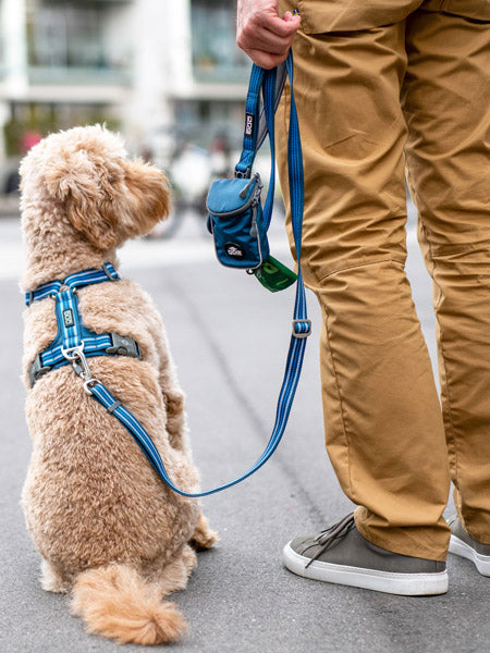 DOG-Copenhagen-laisse-pour-chien-resistante-Urban-Freestyle-leash-bleu