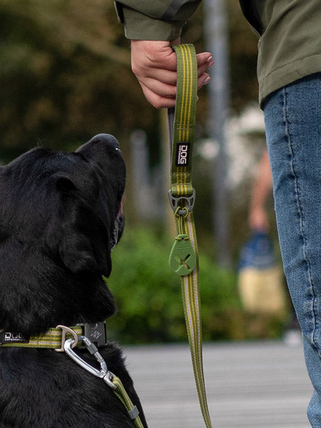 DOG-Copenhagen-laisse-pour-chien-resistante-Urban-Freestyle-leash-vert