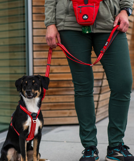 DOG-Copenhagen-sac-a-friandises-pour-chien-go-explorer-treat-bag-rouge