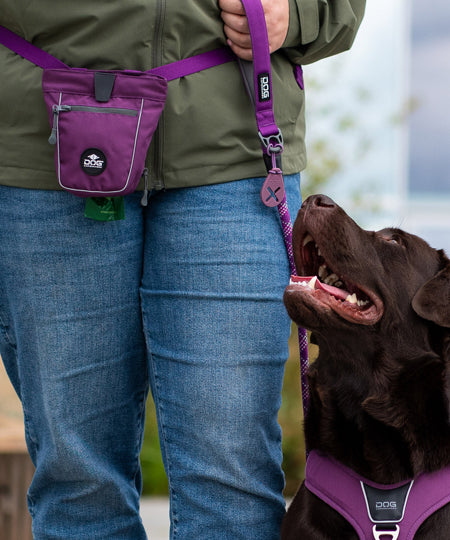DOG-Copenhagen-sac-a-friandises-pour-chien-go-explorer-treat-bag-violet