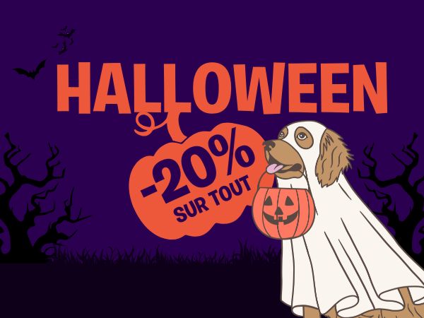 Déguisement halloween pour chien promotion inooko 3