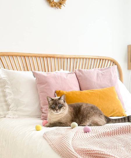 District70-jouet-balle-laine-pour-chat-fairy