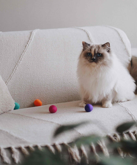 District70-jouet-balle-laine-pour-chat-glow