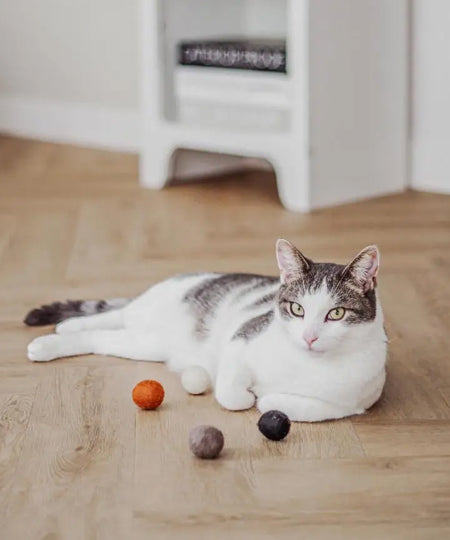 District70-jouet-balle-laine-pour-chat-pure