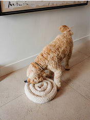 District70-peluche-fouille-pour-chien-SWIRL