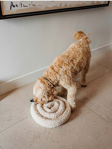 District70-peluche-fouille-pour-chien-SWIRL