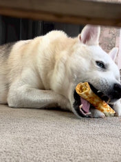 Earth-animal-friandises-naturelles-de-mastication-pour-chien-no-hide