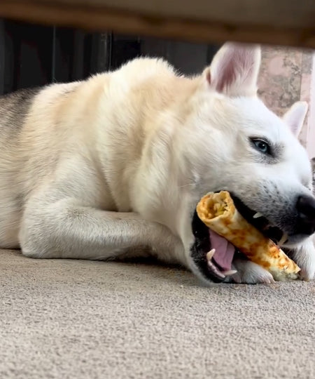 Earth-animal-friandises-naturelles-de-mastication-pour-chien-no-hide