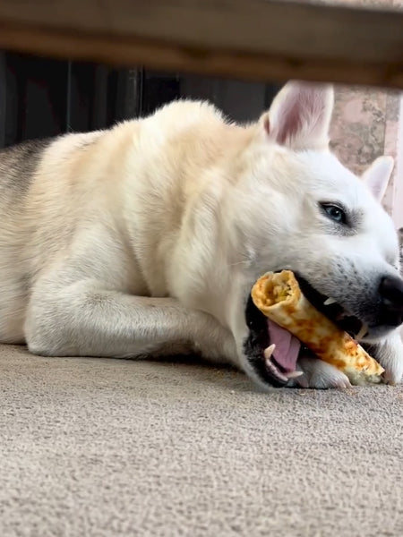 Earth-animal-friandises-naturelles-de-mastication-pour-chien-no-hide