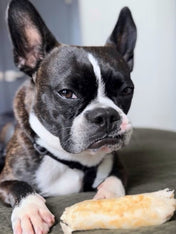 Earth-animal-friandises-naturelles-de-mastication-pour-chien-no-hide