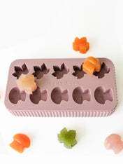 EmeryPets-moule-friandises-pour-chien-champignon-feuille