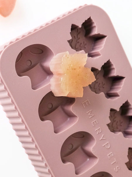 EmeryPets-moule-friandises-pour-chien-champignon-feuille