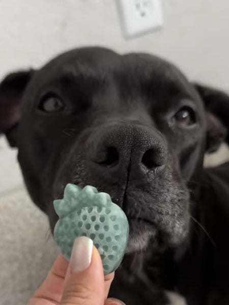 EmeryPets-moule-friandises-pour-chien-fraise