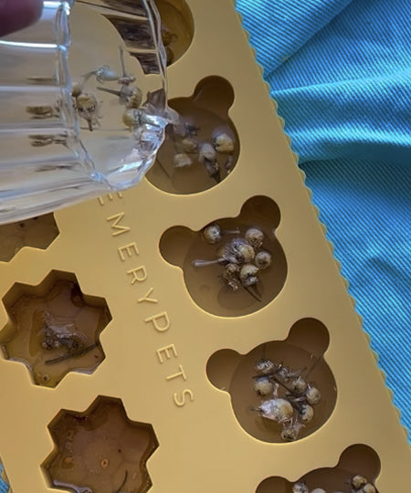 EmeryPets-moule-friandises-pour-chien-ours-miel