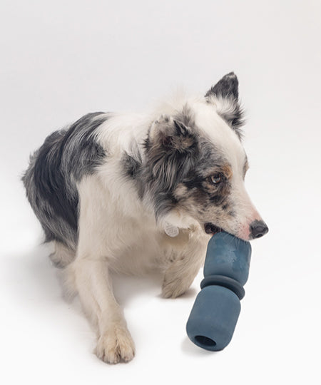 Fable-Pets-jouet-occupation-pour-grand-chien-Armadillo-large