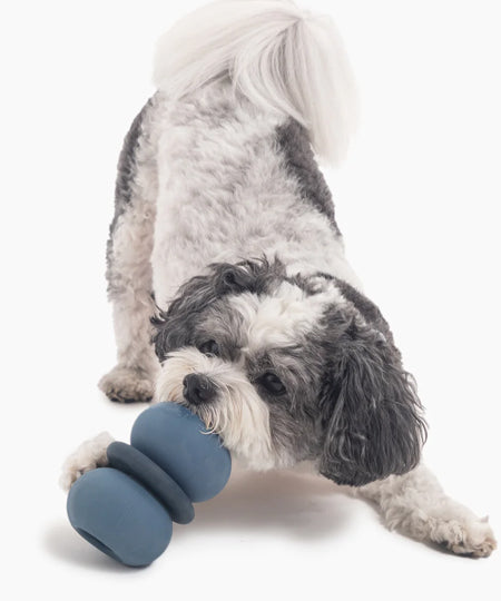 Fable-Pets-jouet-occupation-pour-petit-chien-Armadillo-small