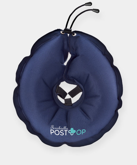 Ferribiella-Collerette-gonflable-pour-chien-PostOp