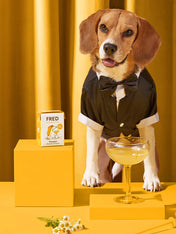 Fred-Felia-bouillon-naturelles-toppers-chien-chiot-Wauquiri-poulet-chamomile