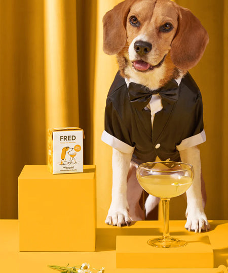 Fred-Felia-bouillon-naturelles-toppers-chien-chiot-Wauquiri-poulet-chamomile