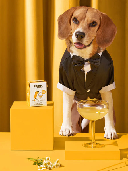 Fred-Felia-bouillon-naturelles-toppers-chien-chiot-Wauquiri-poulet-chamomile