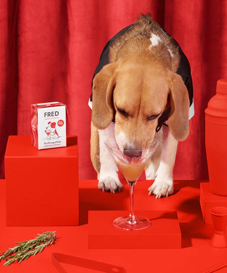 Fred-Felia-bouillon-naturelles-toppers-chien-chiot-Wuffmopolitan-boeuf-tomate-romarin