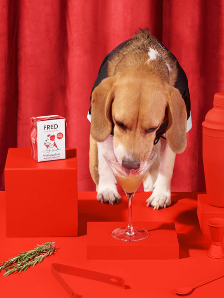 Fred-Felia-bouillon-naturelles-toppers-chien-chiot-Wuffmopolitan-boeuf-tomate-romarin