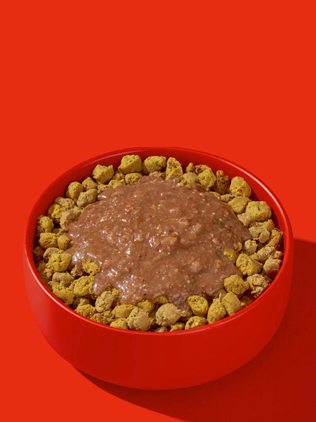 Fred-Felia-smoothie-naturelles-toppers-chien-chiot-boeuf-eglantier