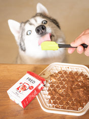 Fred-Felia-smoothie-naturelles-toppers-chien-chiot-boeuf-eglantier