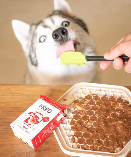 Fred-Felia-smoothie-naturelles-toppers-chien-chiot-boeuf-eglantier