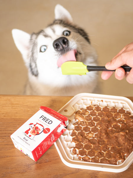 Fred-Felia-smoothie-naturelles-toppers-chien-chiot-boeuf-eglantier