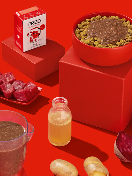 Fred-Felia-smoothie-naturelles-toppers-chien-chiot-boeuf-eglantier