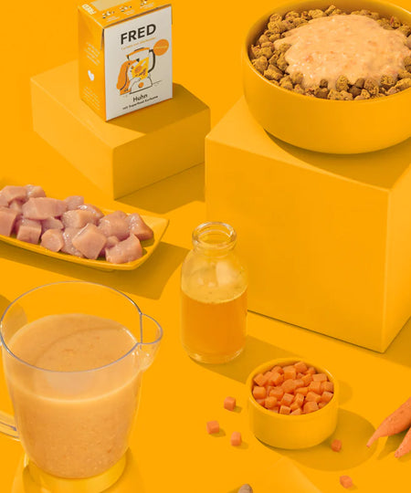 Fred-Felia-smoothie-naturelles-toppers-chien-chiot-poulet-curcuma