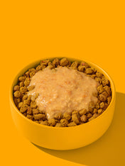 Fred-Felia-smoothie-naturelles-toppers-chien-chiot-poulet-curcuma