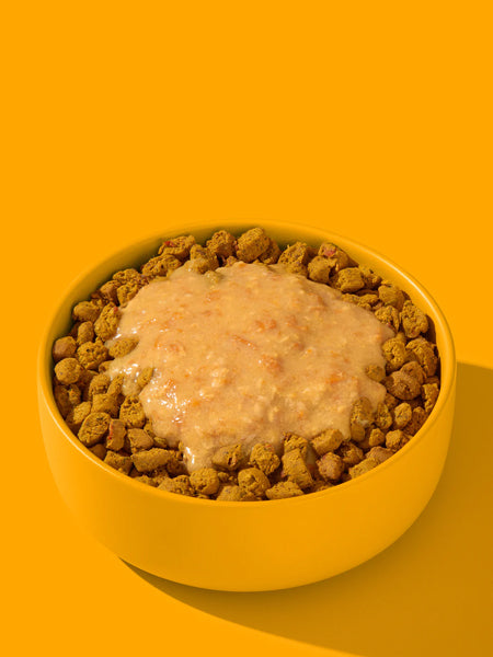 Fred-Felia-smoothie-naturelles-toppers-chien-chiot-poulet-curcuma