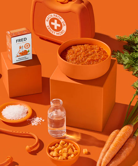Fred-Felia-smoothie-naturelles-toppers-chien-chiot-soupe-vegan-carotte