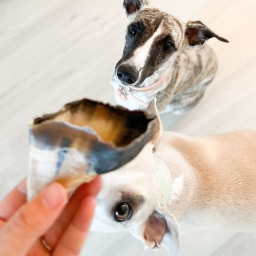 Friandise de mastication pour chien - collection list