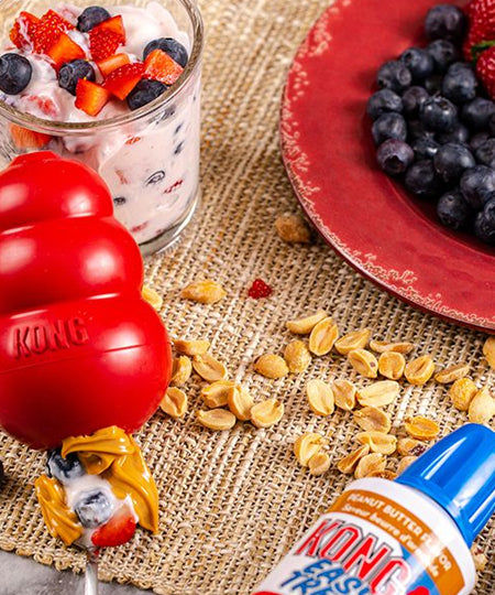 Friandises-KONG-Easy-Treat-beurre-de-cacahuete