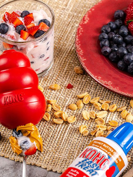 Friandises-KONG-Easy-Treat-beurre-de-cacahuete