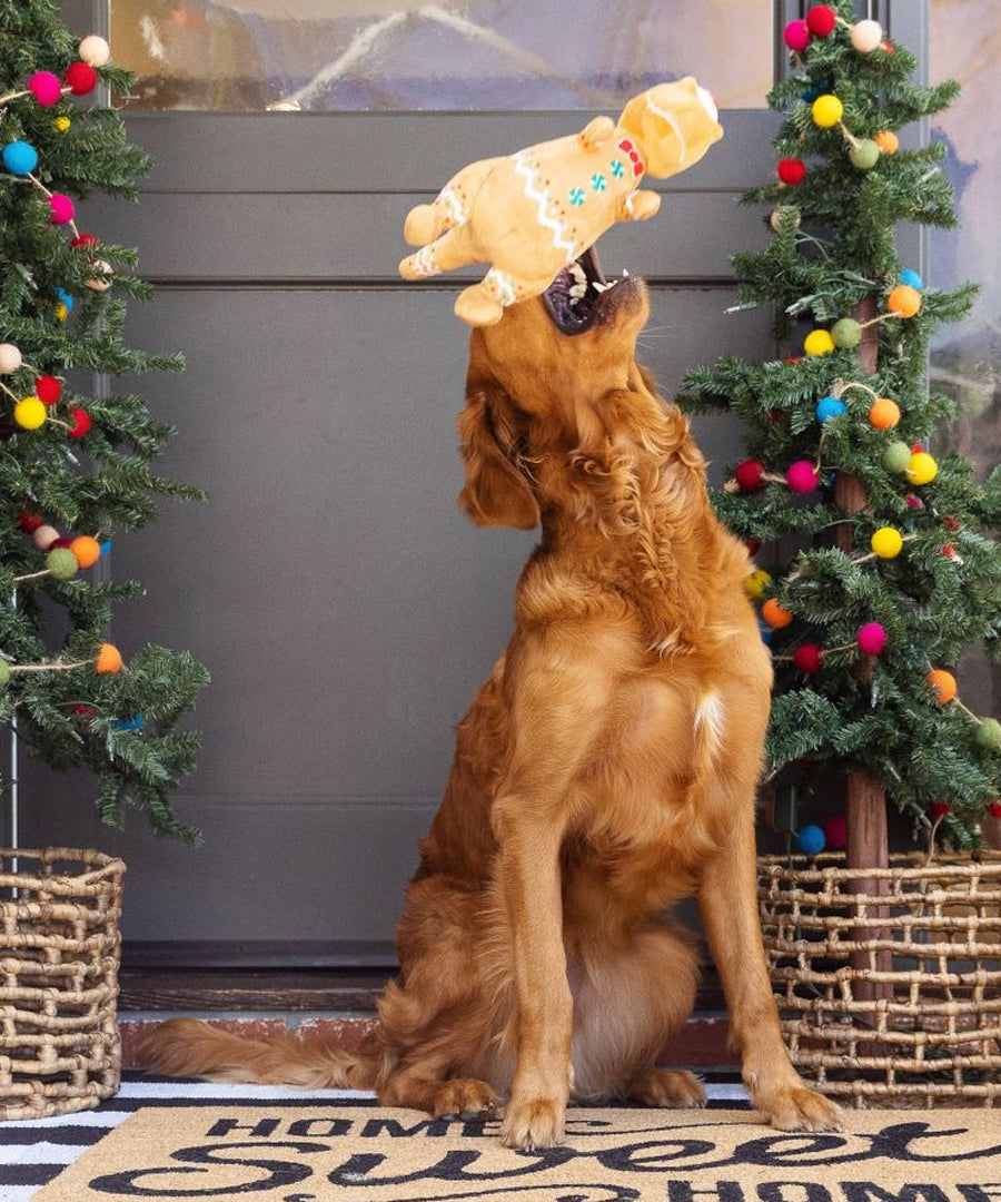 Fringe-petshop-peluche-design-chien-Cookie-Saurus