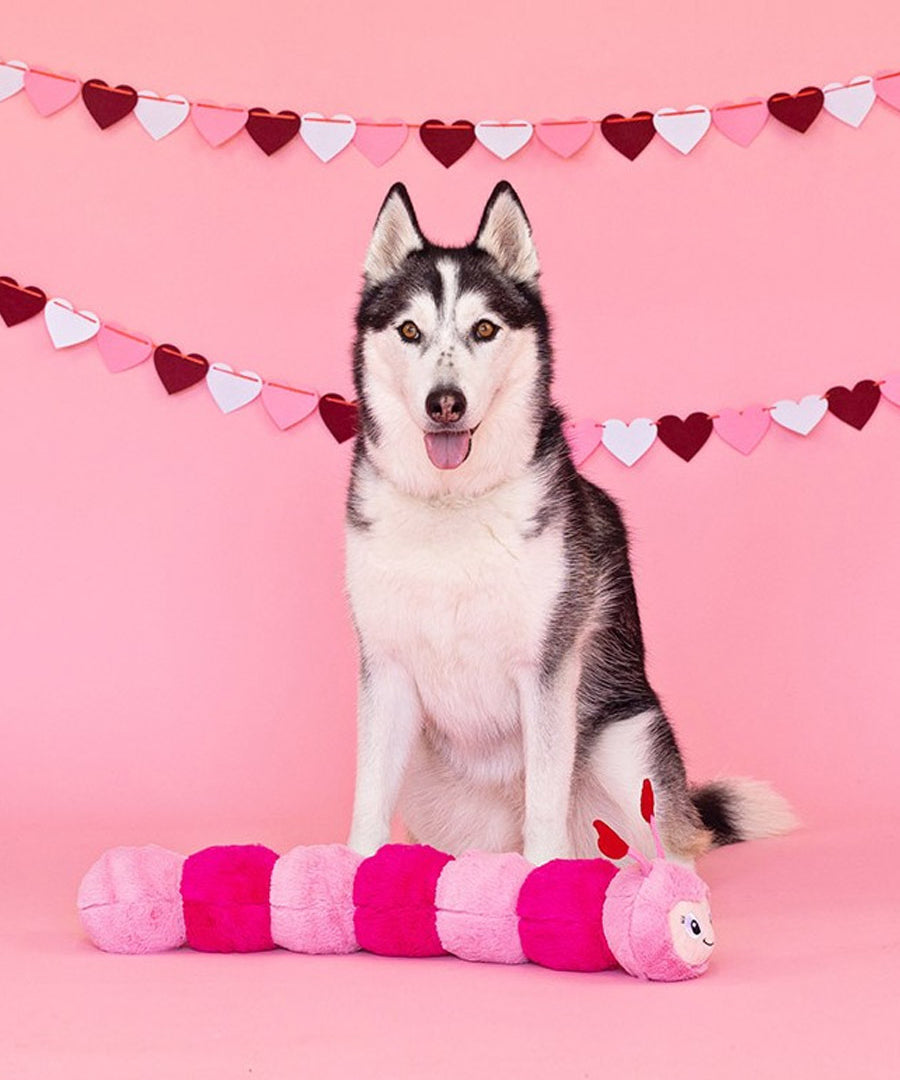 Fringe-petshop-peluche-design-chien-chenille-coeur-xxl