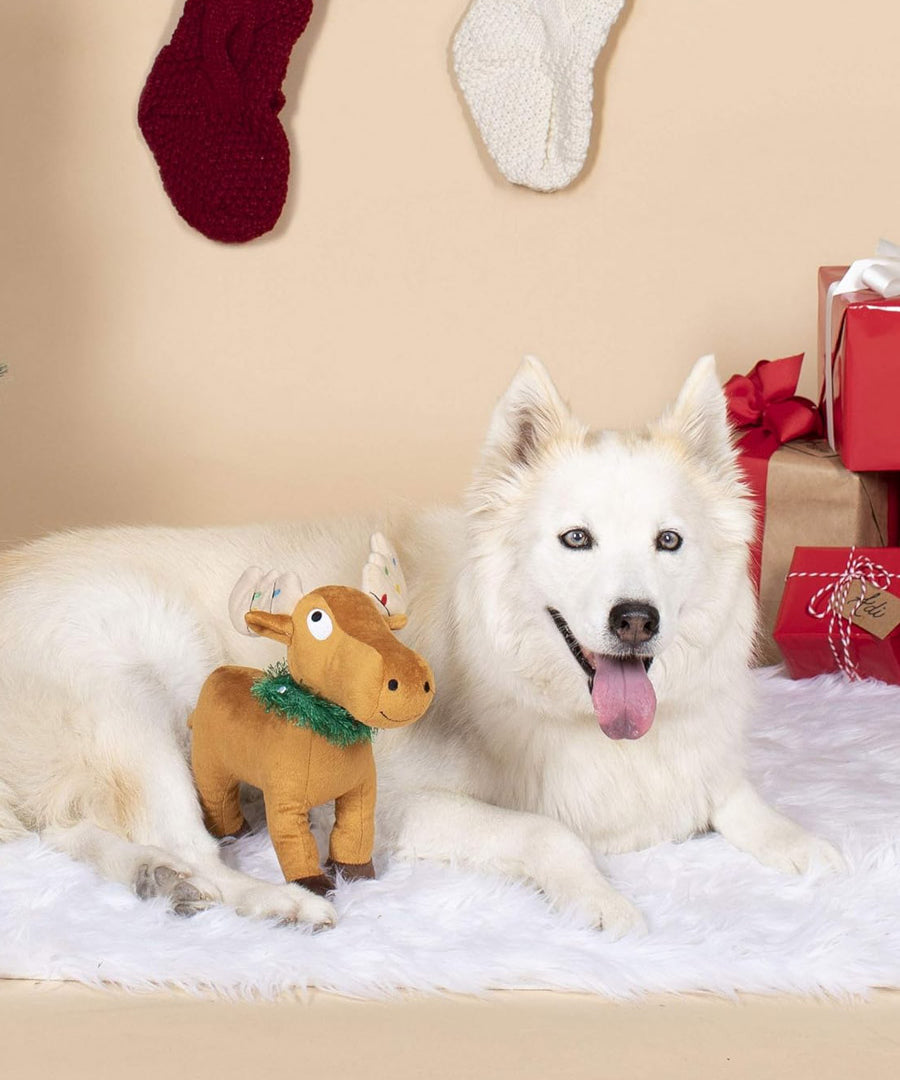 Fringe-petshop-peluche-design-chien-noel-renne-2025